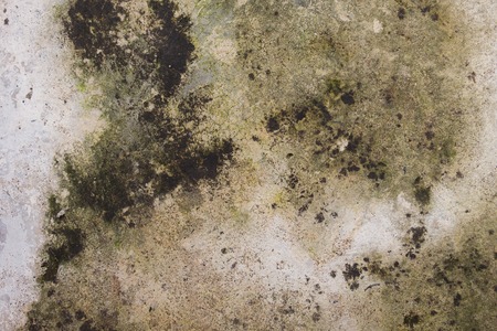 grunge moist dirty stain concrete wall texture background
