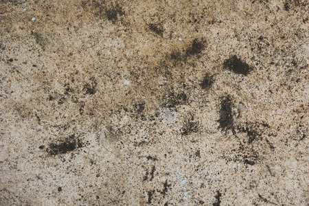 grunge crack moist concrete wall textureの写真素材