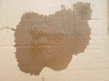 wet corrugated paper texture background 99の写真素材