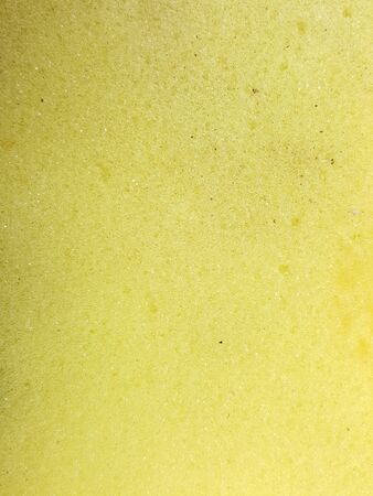 112728 close up yellow sponge textureの写真素材
