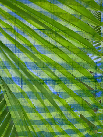 grunge dirty blue canvas textureの写真素材