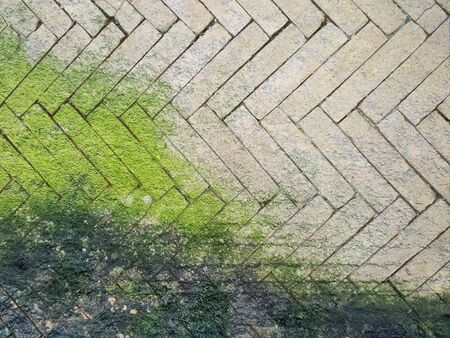 brick floor textureの写真素材