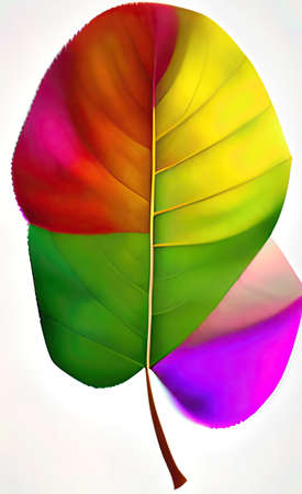 The illustration of coloful green leafの写真素材