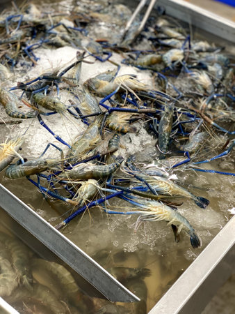 a photography of a tray of shrimp in a large container, there are many shrimp in a tray of ice on the tableの写真素材