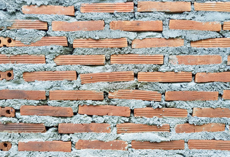 a photography of a brick wall with holes in it, there is a brick wall with holes in it and a cat...