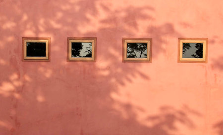 a photography of a pink wall with four windows and a tree shadow, view of a pink wall with four windows and a fire hydrantの写真素材