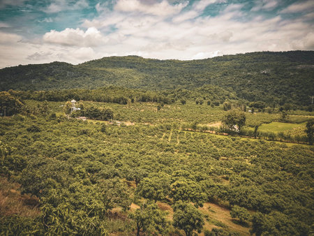 valley with trees and bushes in the foreground and a house in the distance.の写真素材
