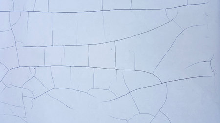 shower curtain with a drawing of a hand holding a toilet paper.の写真素材