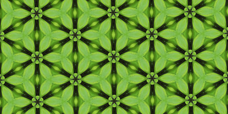 bibz green fabric by glimzy on spoonflower - custom fabric.の写真素材
