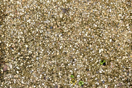 a photography of a person standing on a sidewalk with a cell phone, there is a small green plant growing out of the ground.の写真素材