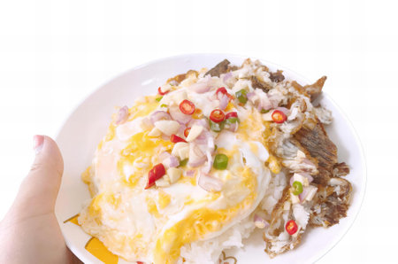 a photography of a plate of food with a fork in it, mashed potato and fish with a side of rice and a fork.の写真素材