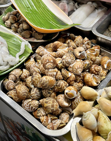 a photography of a variety of shells and other food items, conch shells and other food items are on display in a market.の写真素材
