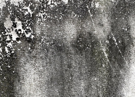 a photography of a black and white photo of a wall with a fire hydrant.の写真素材