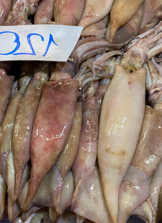 a photography of a display of squids and squid meat, butcher shop display of squids and squid meat for sale.の写真素材