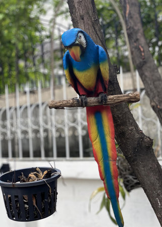 a photography of a colorful parrot perched on a tree branch.の写真素材