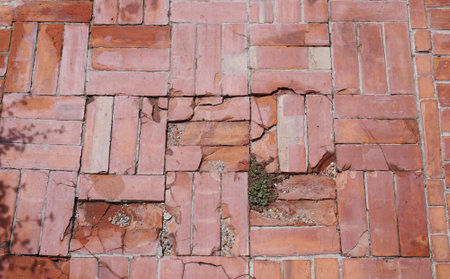 a crack in the brick wall.の写真素材