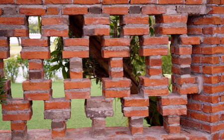 a brick wall with a tree growing through it.の写真素材