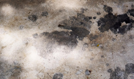 the floor is covered with black spots..の写真素材