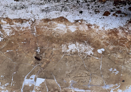 the texture of the old wall.