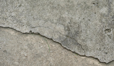 a crack in the concrete..