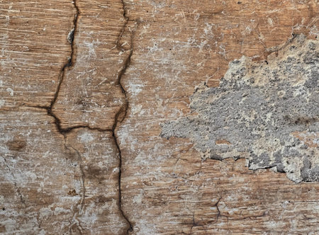 texture of a tree trunk with cracked and cracked paint.