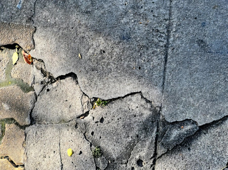 cracks in the sidewalk and the sidewalk.