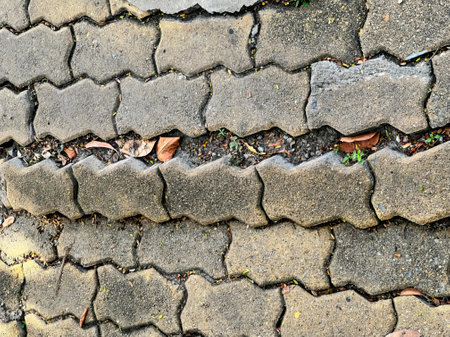 a cobblestone street with a crack in it.の写真素材