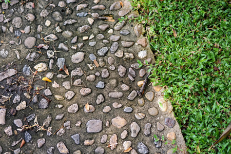 a sidewalk in the park.