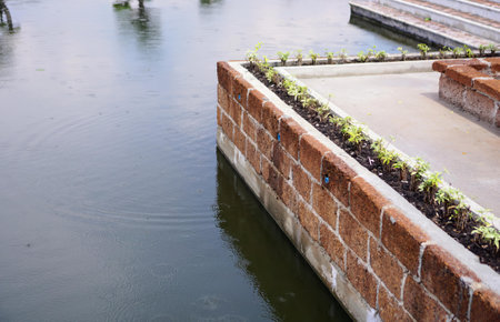 a water feature with plants growing in it.の写真素材