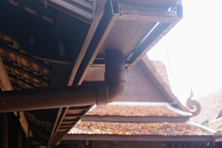 the roof of the building.の写真素材