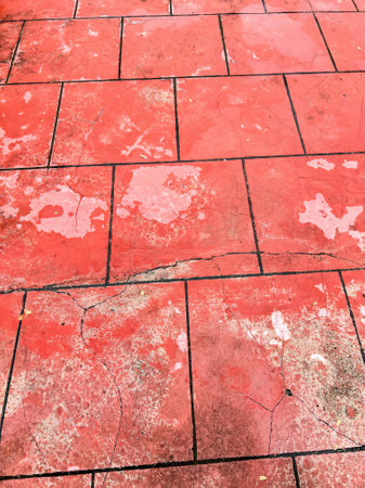 the floor is covered with pink and white lichen.