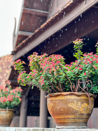 a pot of flowers with pink flowers in it.の写真素材