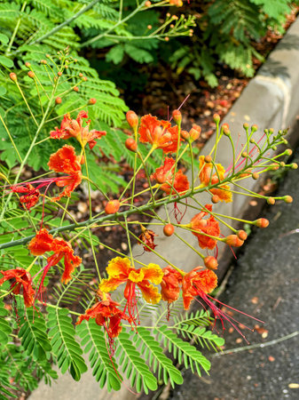 a flower in the garden.