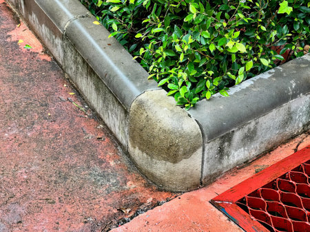 a red brick wall with a green plant in it.の写真素材