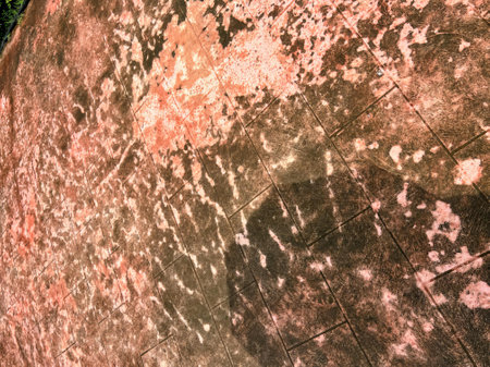 the texture of the floor is pink and brown.の写真素材