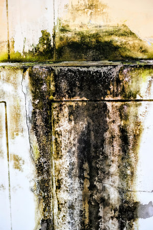 a rusty wall with a black and white texture.の写真素材