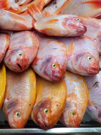 fish for sale at a market.
