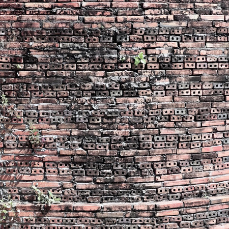 bricks in the wall of the temple.