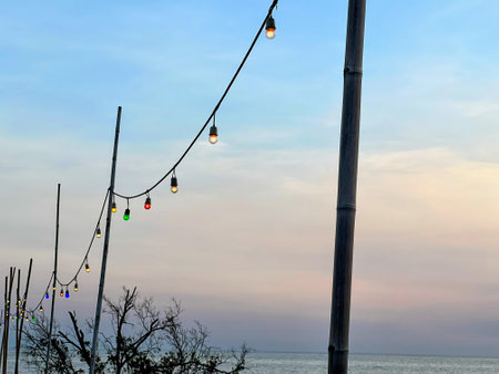 a photography of a street light with a beach in the background.の写真素材