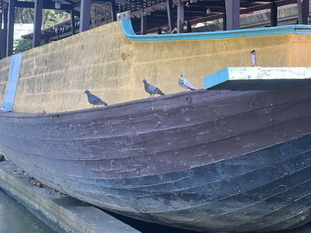 a photography of a boat with birds perched on the side of it.の写真素材