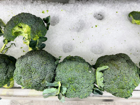 a photography of a bunch of broccoli sitting on top of a pile of snow.の写真素材