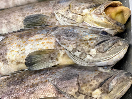 a photography of a group of fish sitting on top of a counter.