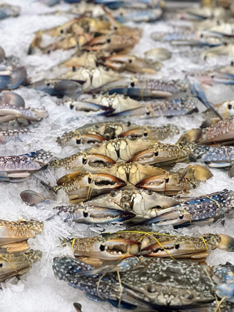 A photography of a bunch of crabs sitting on top