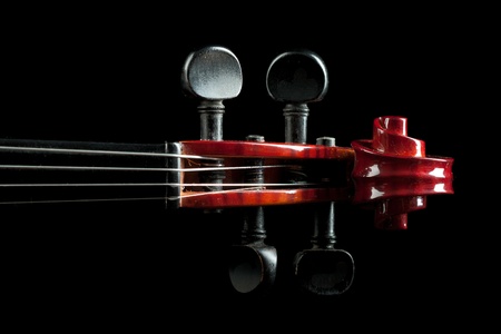 shiny violin scroll closeup isolated on black backgroundの写真素材