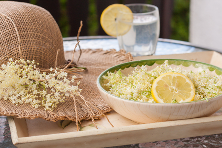 Freshly picked elderberry flowers in a beautiful ceramic bowl with lemon slices as decoration. The flowers of Sambucus species are used to produce elderflower cordial, homemade sweet syrup or juice.の写真素材