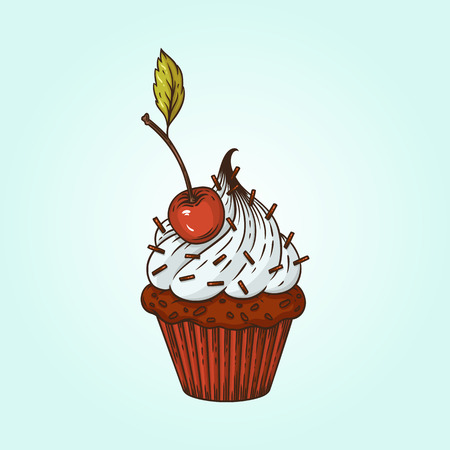 Vector illustration cupcake with cherryのイラスト素材