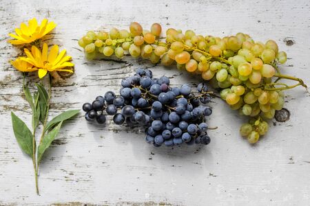 grape