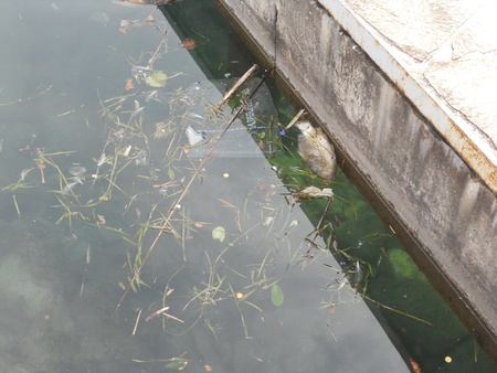 deteriorationの写真素材