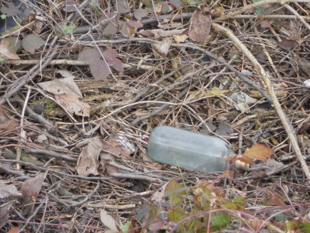 environmental degradationの写真素材