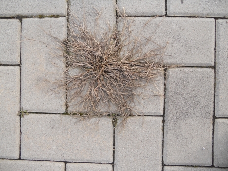 cementの写真素材